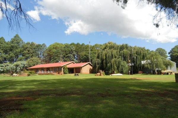 Excellent cattle farm of 470 ha available between Roossenekal and Lydenburg.
Modern farmhouse, well-kept garden, good out-buildings ...