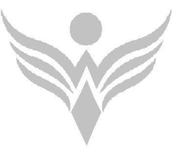 Andrew Weyers & Associates Inc