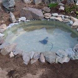 Make a garden water feature or pond - Garden & Outdoor, Lifestyle