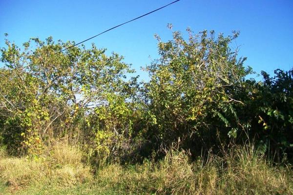 Ideally situated for a forever home or a holiday home. Abundant bird life!