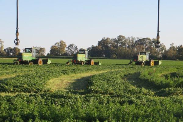 66 ha Orange Riet Water, Game Camps and Big Feedlots under roof. Entire Farm electric fenced. Thatched Roof Lapa Lounge, Bar, 4 ...