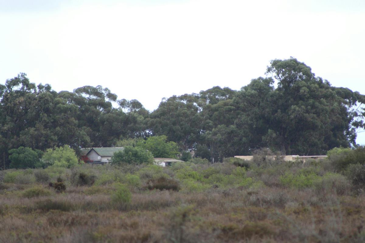 Photo of Industrial property for sale in Saldanha Central