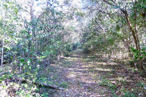 86ha of untouched virgin forest. Exquisite Property offering peace &amp; tranquility. ...