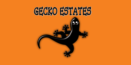 Property for sale by Gecko Estates