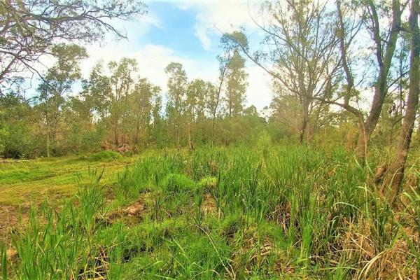 Comprising 4.2 hectares of flat land with mostly Bluegum trees and swathes of grass. ...