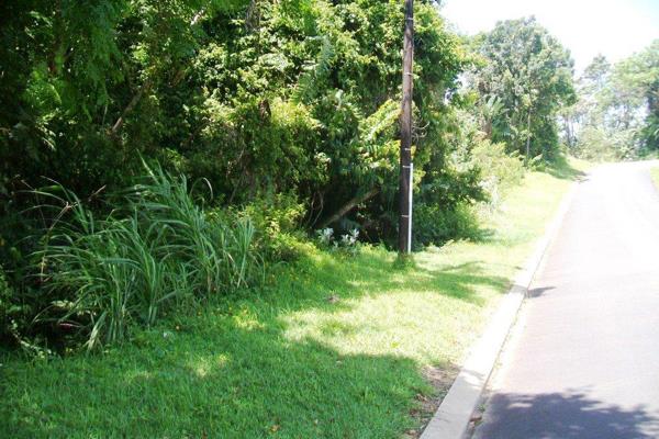 A quiet, peaceful area this vacant stand is fairly level with lots of shade trees. The stand  is situated off a tar road. The stand ...