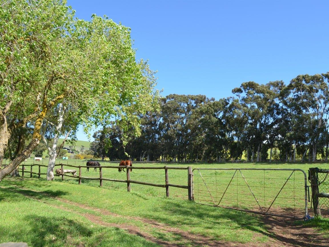 Property and houses for sale in Durbanville Durbanville Property