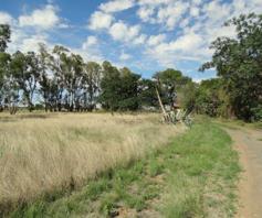 Farm for sale in Estoire