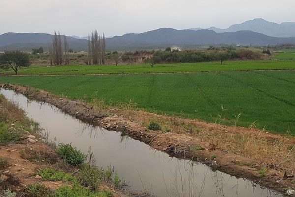 This farm is situated in a beautiful valley near Oudtshoorn with excellent water sources.
About 51ha are arable irrigable land, mainly ...