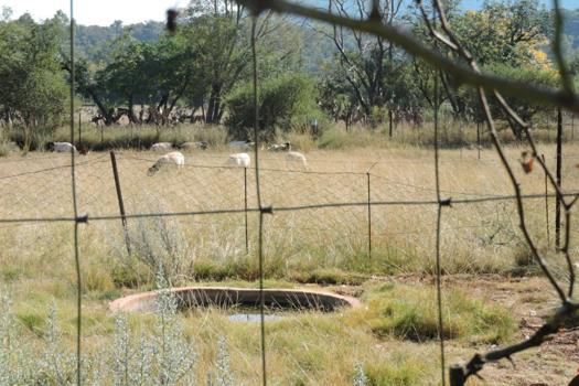 Farm for sale in Groot Marico