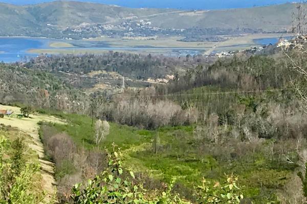 Situated high up on the ridge with a wide vista overlooking Knysna, the Estuary and through the Heads. After the 2017 June fires the ...