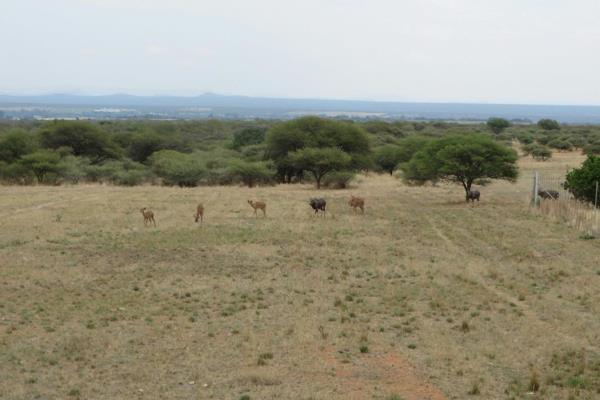 This beautiful farm is ideal for game breeding, living permanently or weekend visits and relaxation. The farm is in close proximity to ...