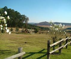 Farm for sale in Bulwer Rural