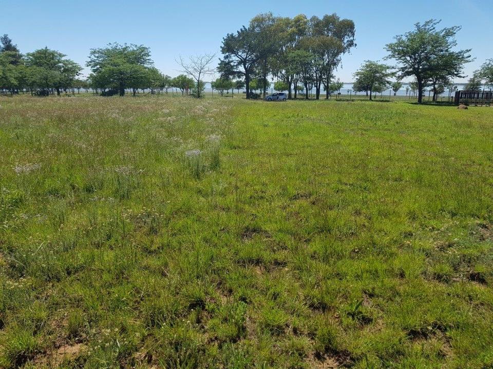 vacant-land-plot-for-sale-in-deneysville-p24-106773067