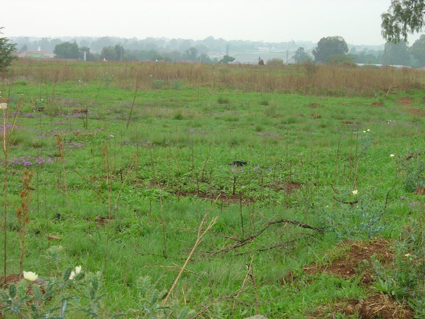 Three Rivers East Property Property and houses for sale in Three