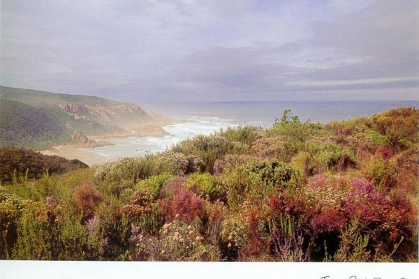 Pezula Private Estate is a spectacular combination of dramatic cliffs, sheltered beaches, magical lagoon views, mysterious forests and ...