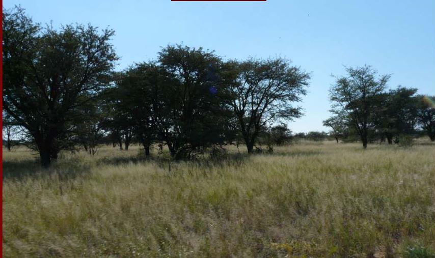 Farm for sale in Mmabatho - P24-107063580