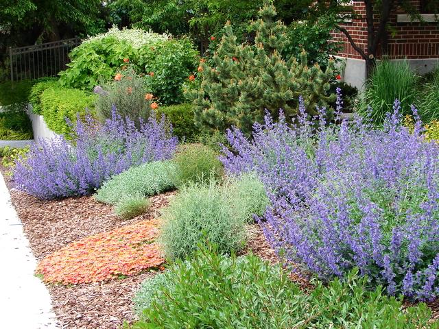 How to design a lawn-free landscape