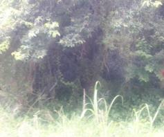 Vacant Land / Plot for sale in Umtentweni