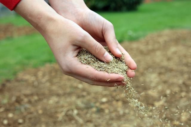 Get your garden ready for winter and spring