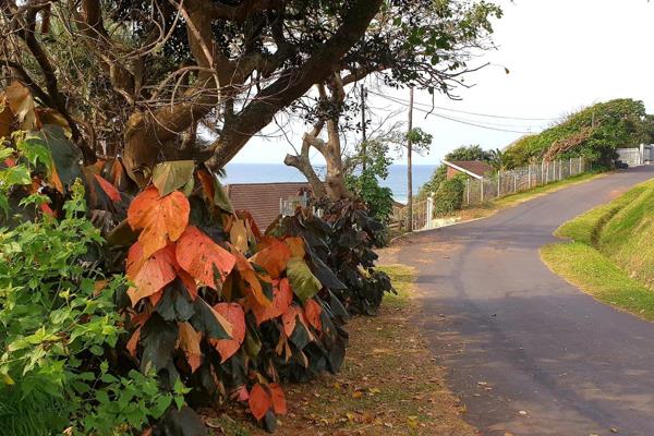 A large vacant stand ideally situated in a tranquil area with direct beach access and the most amazing ocean, beach and lagoon ...