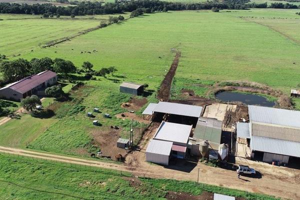 This is one of the top dairy farms in the Riversdale district.

Here&#39;s about 50ha under permanent sprinkler irrigation of which ...