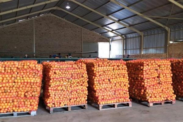 69,7 Ha Orange farm in Modimolle with 218 000 m&#179; surface water rights ( 30 Ha) and 250 000 m&#179; storage rights in a dam. The ...