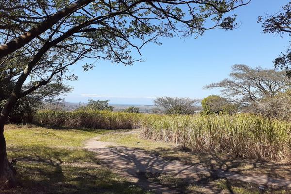 The farm has scenic views towards the warm Indian Ocean and inland views comprising three erven.
The farm is currently under sugar ...