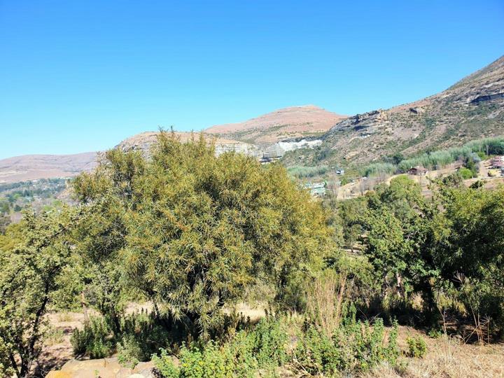 Listing number: P24-107898829, Image number: 2