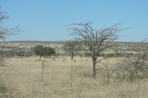 Farm Klipspruit - R5 950 000- PLUS VAT - as a going concern.

980 Hectare Cattle Farm ...