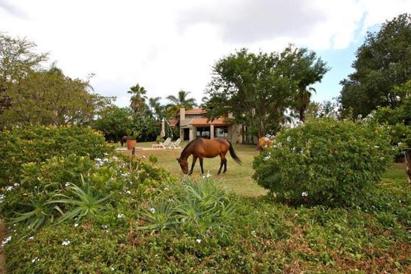 Available 16 December 2024

Spacious, beautiful home in an established equestrian estate. This double story house provides a homely ...