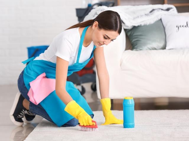 Carpet Cleaning Service in Northern Virginia and Washington DC