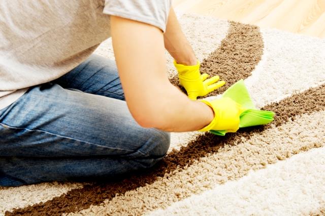 7 household carpet cleaners you probably have in your home - Diy, Lifestyle