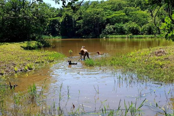 This farm is situated in Sea Park a coastal town on the South Coast.

A short drive down a meandering country road will take you to ...