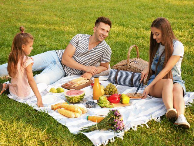  Picnic Sets - Picnic Sets / Picnic Baskets, Tables &  Accessories: Patio, Lawn & Garden