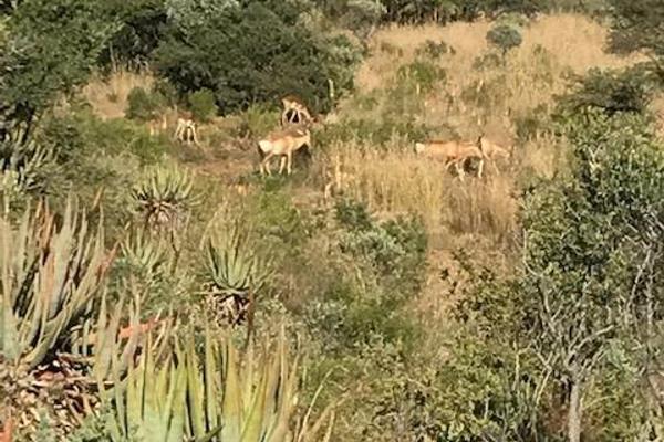 Property and houses for sale in Groblersdal, Limpopo : Groblersdal ...