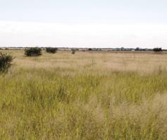 Farm for sale in Kameel