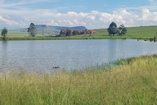 160 Ha of irrigation which could be utilized for planting &amp; growing feed for cattle and or sheep. 
52,8 Ha Of Eragrostis grass has ...