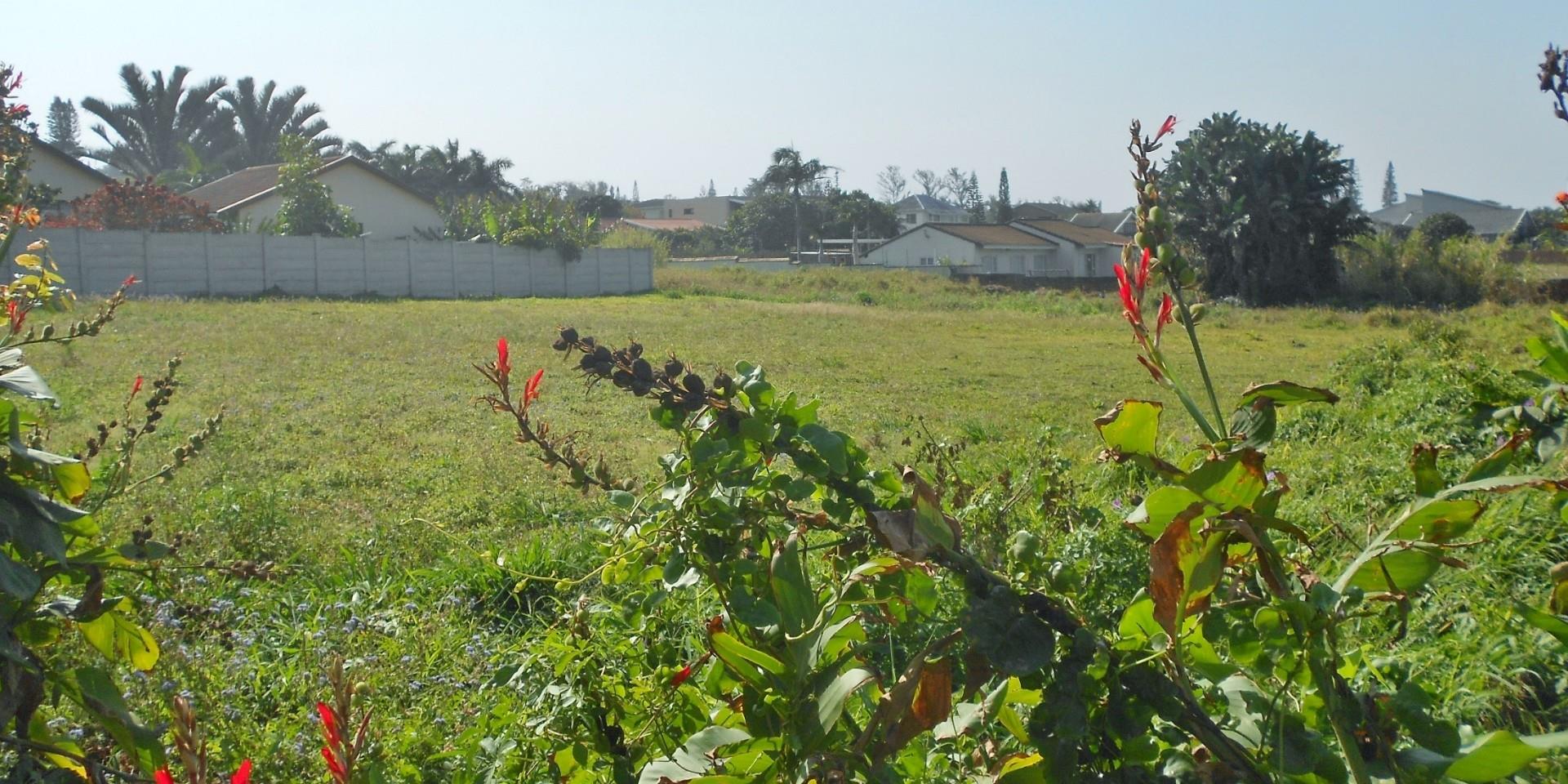 Vacant land / plot for sale in Port Edward P24107825818