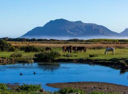 New master plan development to inject R1.56bn into Cape Town's Kommetjie