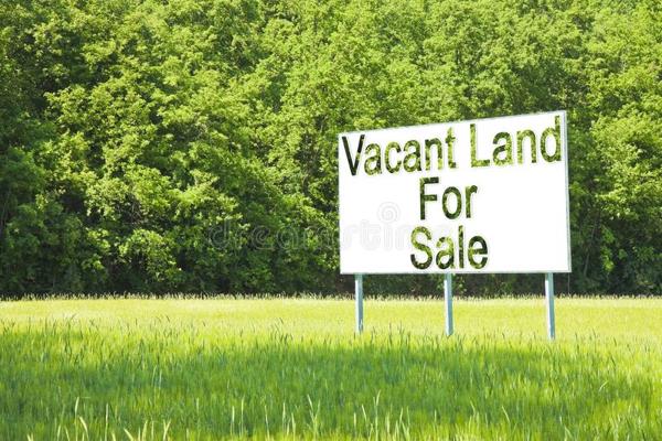 Next to a main road you will find this 1.2HA small holding.
Perfect for business, residential or small scale farming.

Two boreholes ...