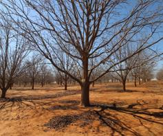 Farm for sale in Ventersdorp Rural