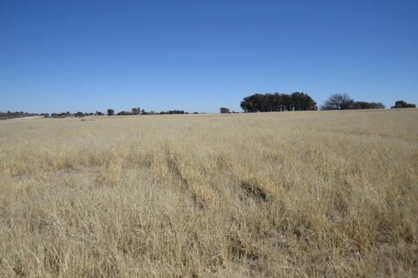 Description:

Old house.
Eskom power.
Sufficient water.
20ha Blue buffalo grass.
Good grazing.