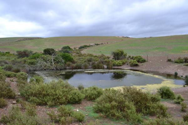 For the water requirements of livestock, the farm is supplied with water from the Overberg water scheme,as well as a natural spring on ...