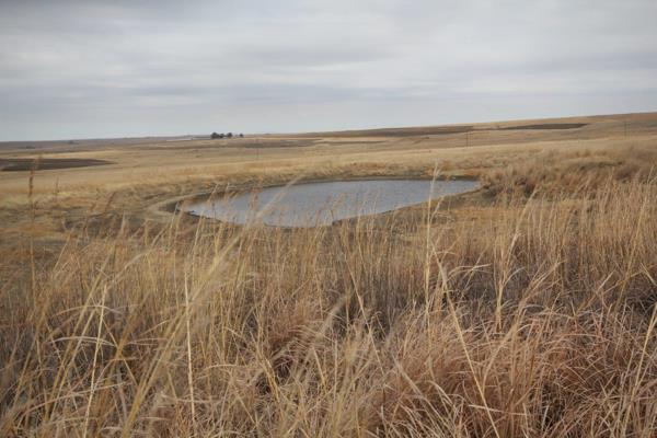 This farm offers the following:
- 4 Natural grazing camps, fully fenced
- 1 Cement dam
- 2 Natural dams
- Borehole fitted with pump and ...