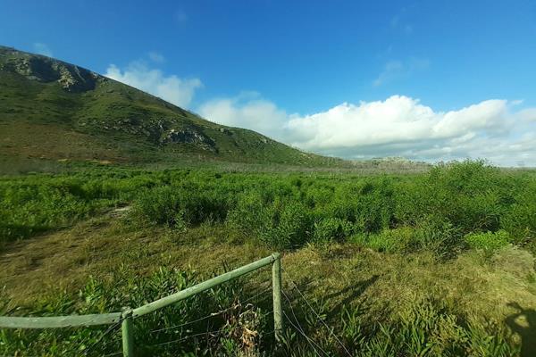 SOLE Mandate.  An attractive smallholding on the R43, approximately 1.75km from the Franskraal coast. The northern boundary extends to ...