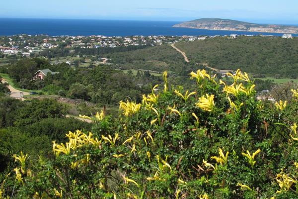 VACANT STAND FOR SALE AT SCHOONGEZICHT - PLETTENBERG BAY

Schoongezicht Country Estate ...