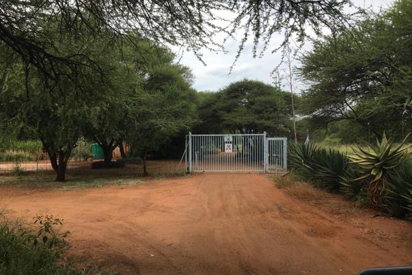 EXCLUSIVE MANDATE

Bushveld living.

Beautiful farm for sale in Northam in the Bushveld with a permanent income..

This farm s ...