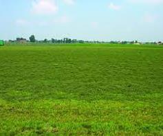 Vacant Land / Plot for sale in Nomdeni