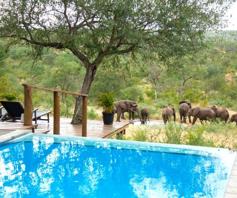 Commercial Property for sale in Grietjie Private Nature Reserve